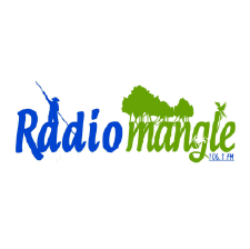 radios_V2-11